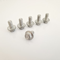 M6x12 screw  (for Honda front brake disc)